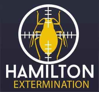 Pest Control Hamilton